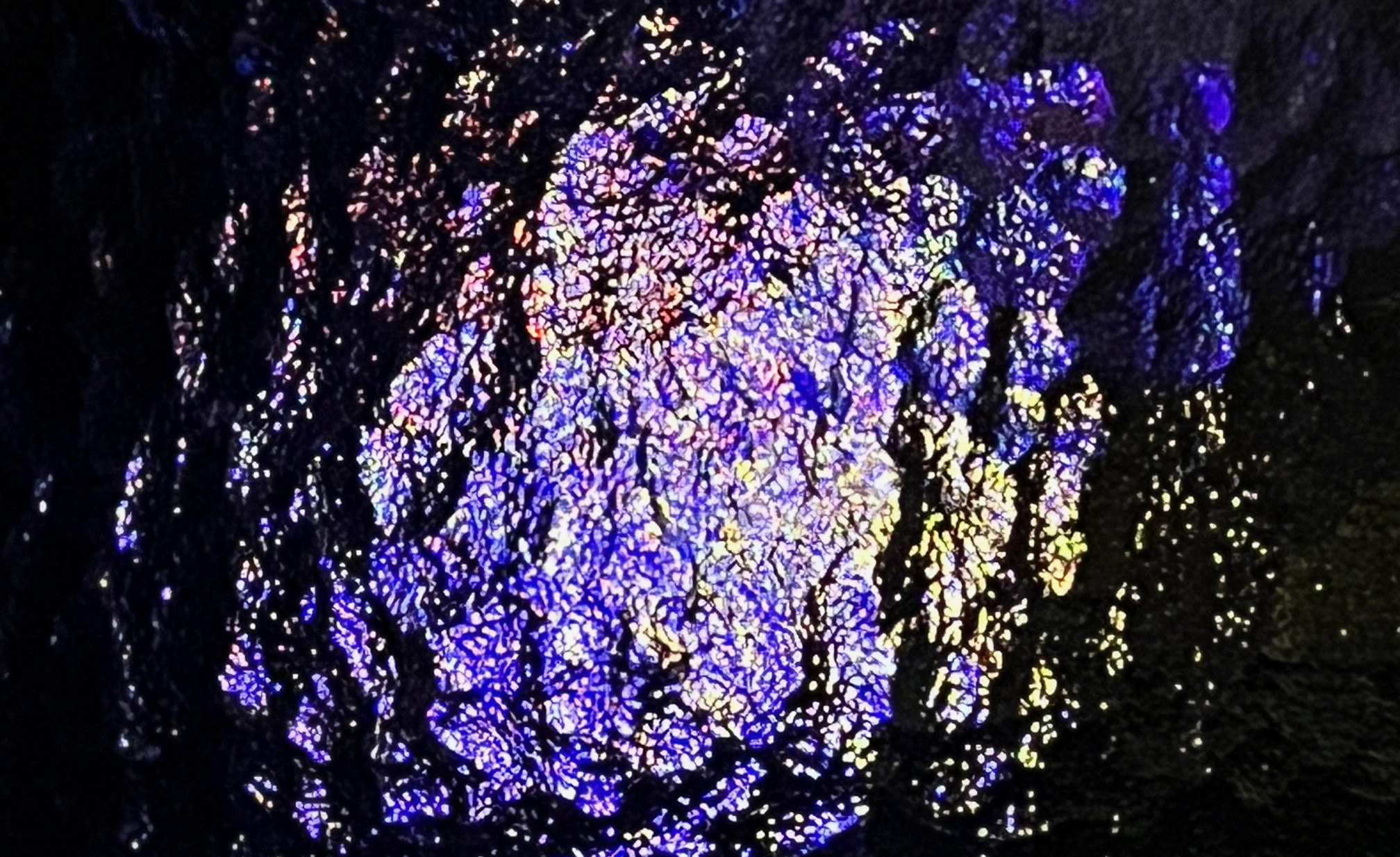 Spekulation als transformative Praxis